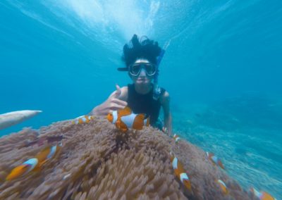 adventure-aquatic-animals-beach-2744596